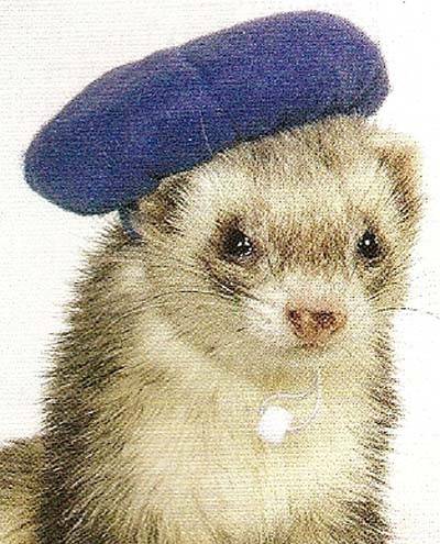 beret.jpg