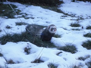 SDC11110.JPG