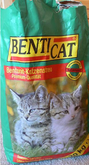 Benticat.JPG