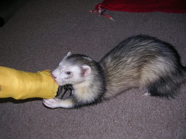 DSCN4143.jpg